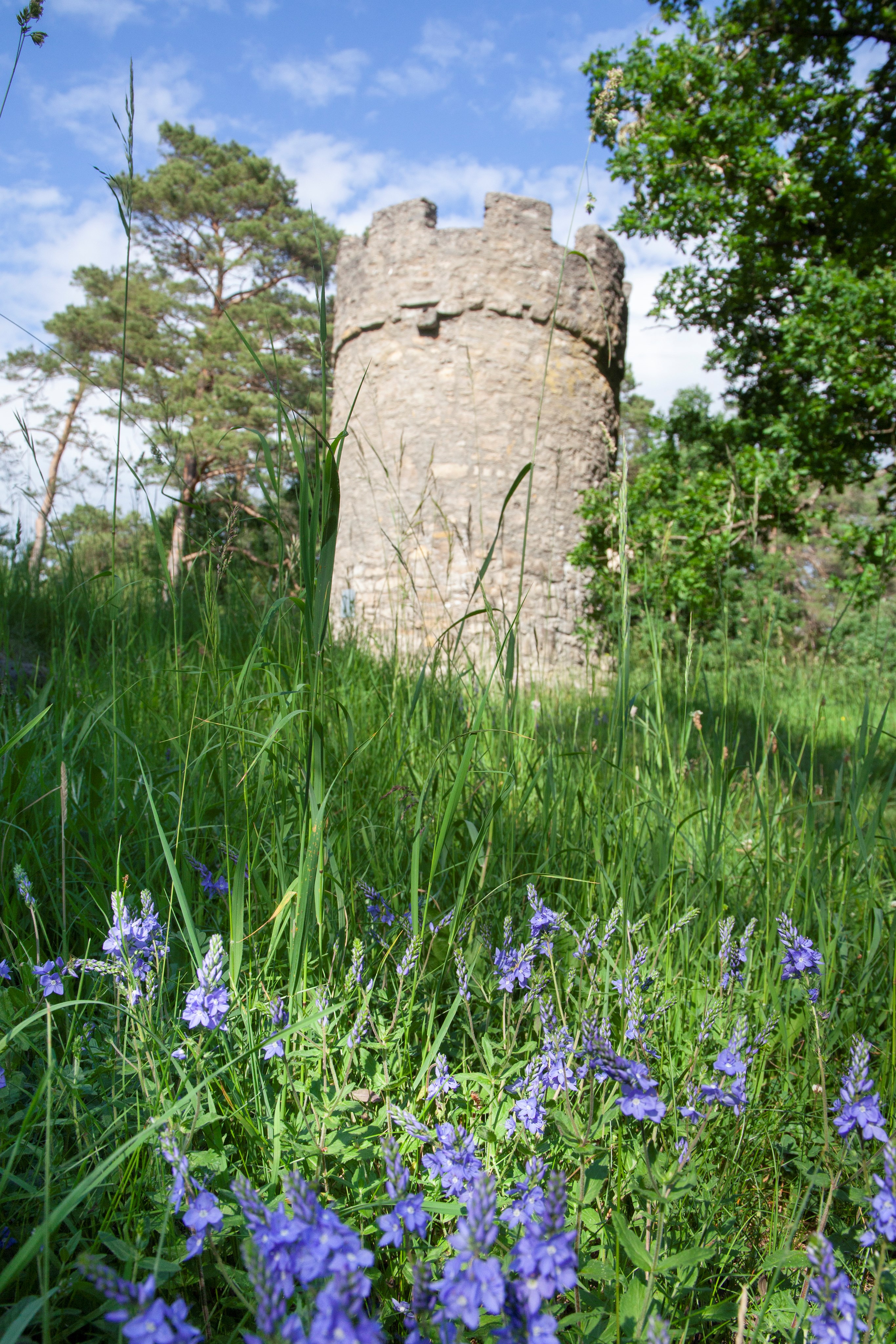 Mu╠ênnerstadt_Hainturm_MG_9251c_OliverSchikora.JPG